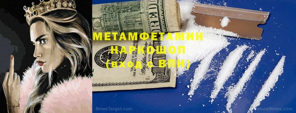 шишки Няндома