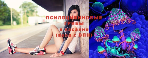 spice Армянск
