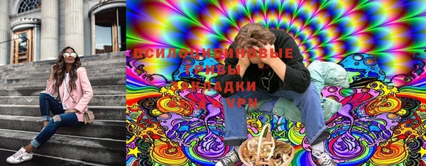 прущие крисы Аркадак